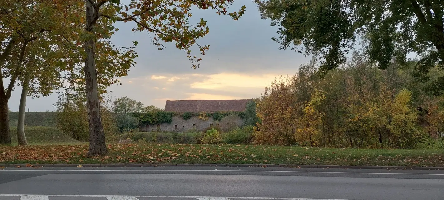 Jesen na središnjem trgu