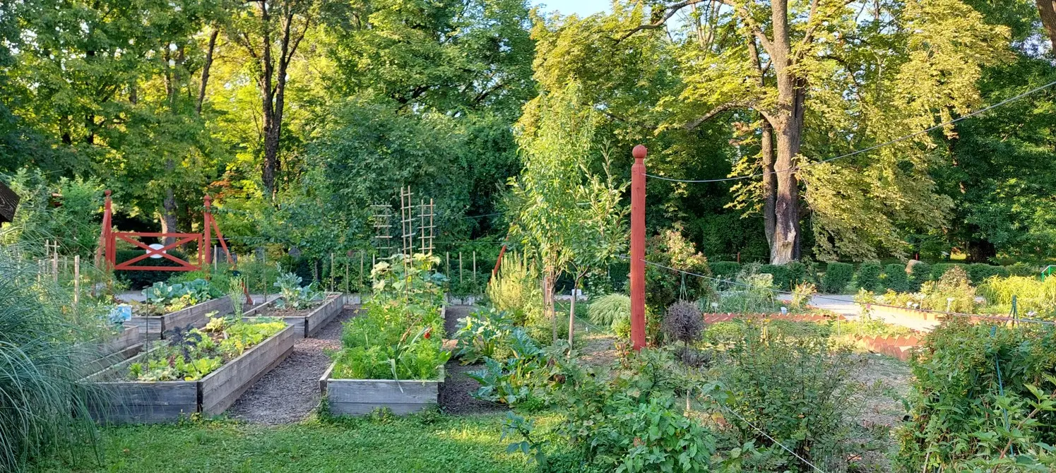 Vrtne gredice s biljkama