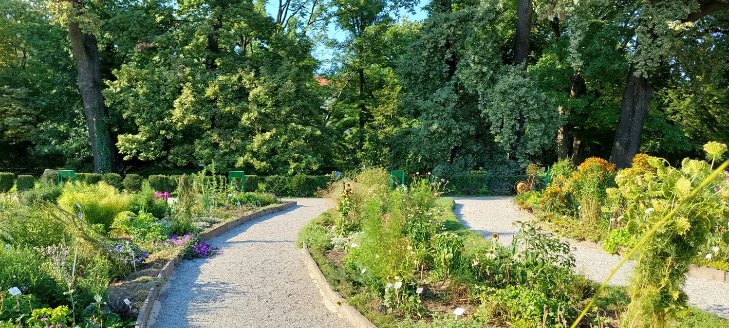 Raznolikost biljnih vrsta