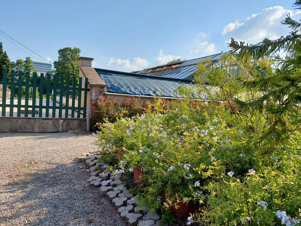 Staze među biljkama