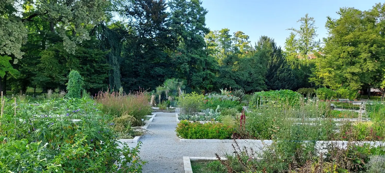 Natkriveni prolaz u vrtu