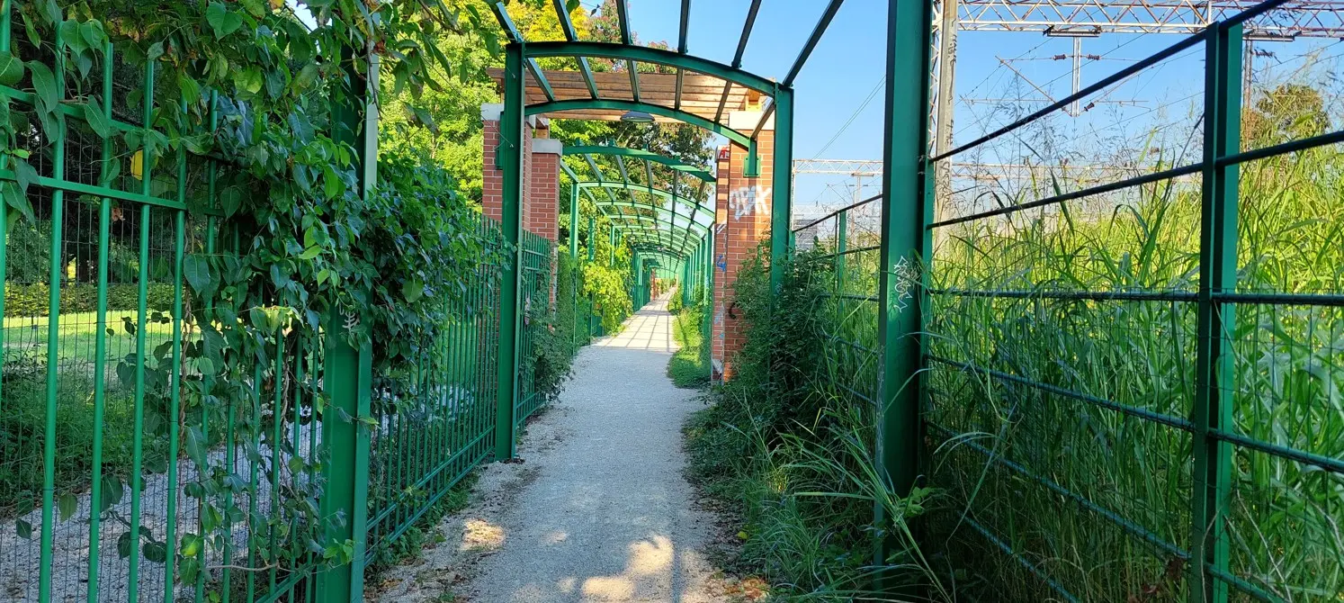 Široka pješačka staza