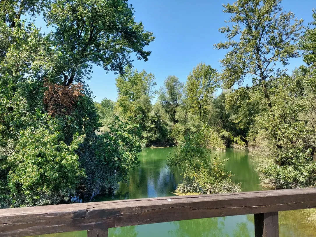 Prirodna zona uz jezero