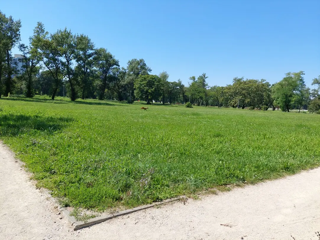 Otvoreni prostori u parku