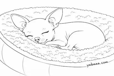 Čivava spava u krevetu – bojanka za djecu