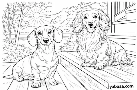 Dva jazavčara na verandi – bojanka za djecu