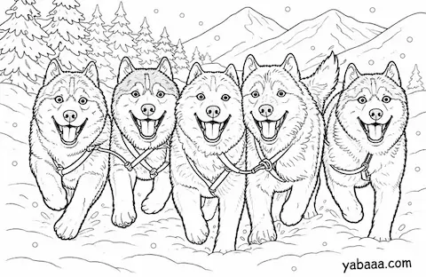 Pet haskija u zaprezi – besplatna bojanka za djecu