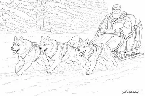 Haski zaprega saonicama – bojanka za djecu