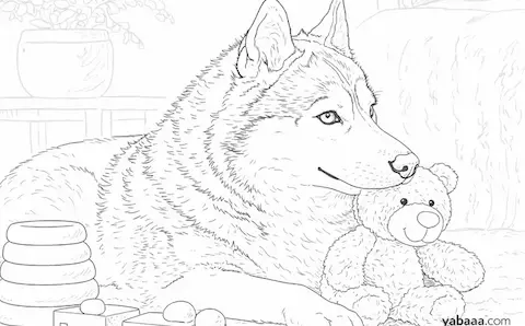 Haski s plišanom medvjedićem – bojanka za djecu