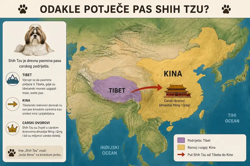 Infografika – odakle dolazi pas Shih Tzu: put od Tibeta do kineskih carskih dvorova dinastija Ming i Qing
