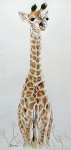 pui de girafă
