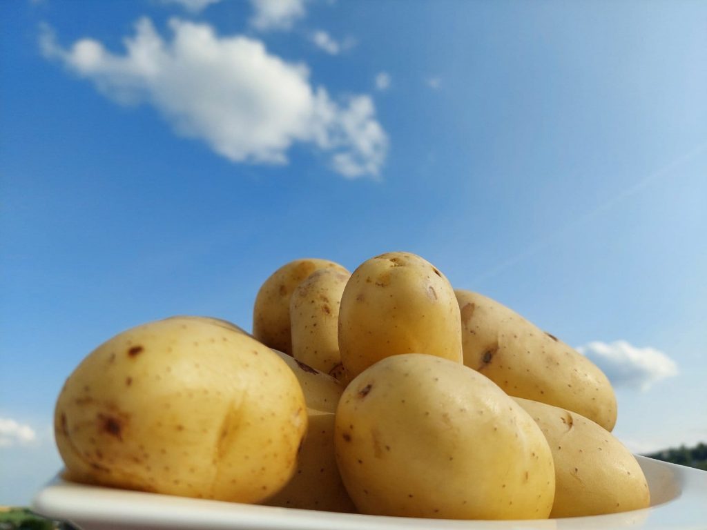 Zrób własne frytki - Historia ziemniaki
